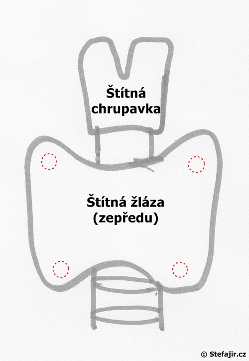 Pristitna teliska