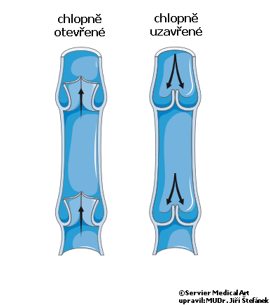 inflamația simptomelor articulației încheieturii ruperea meniscului intern al genunchiului